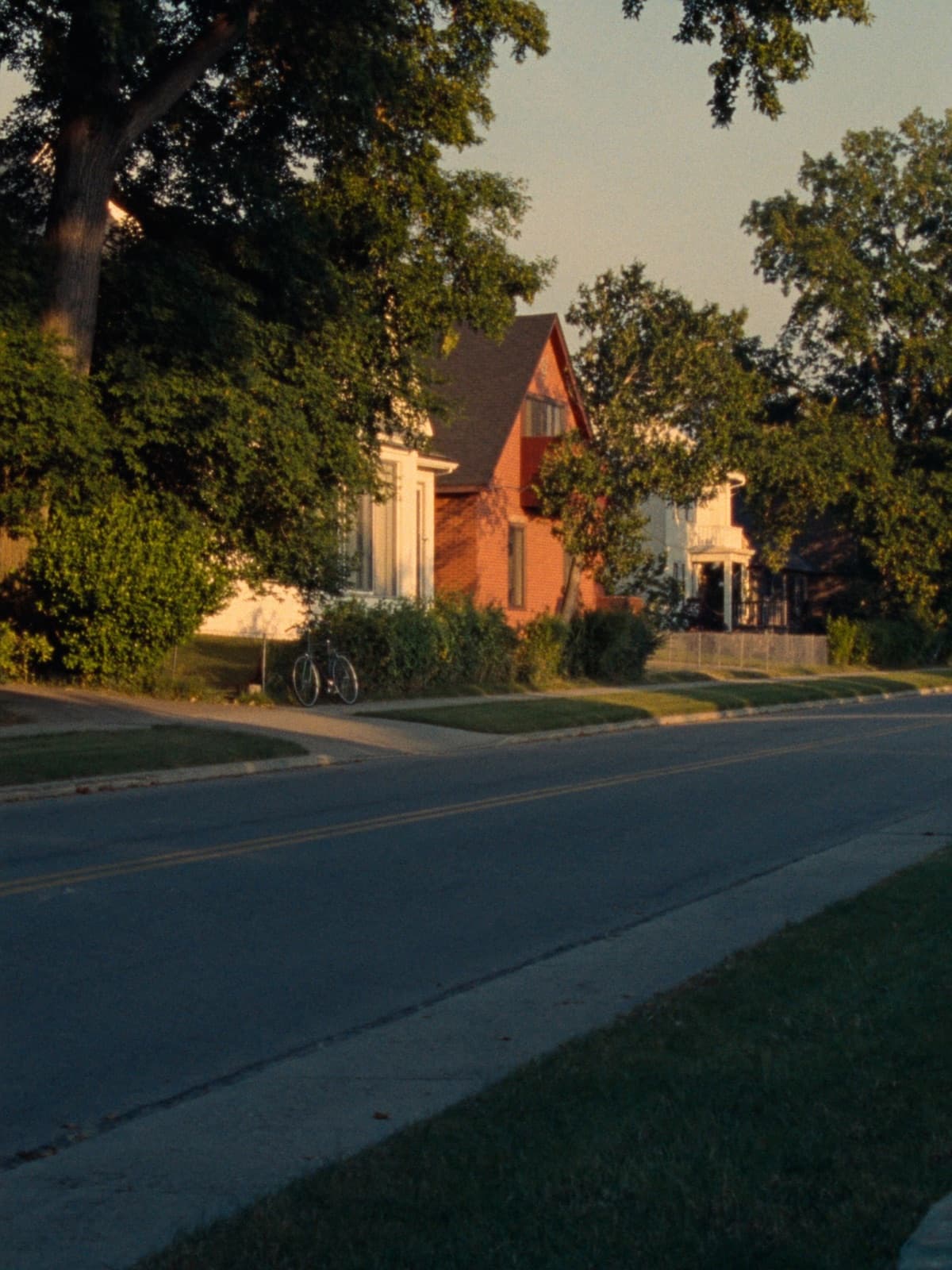 Rue résidentielle bordée d’érables au coucher du soleil